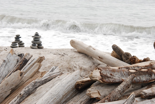 Unveiling the Truth: Can You Safely Use Driftwood as Firewood in Your Wizard Fire Pit?